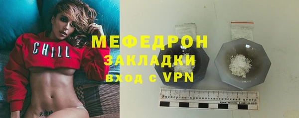 сатива Бородино