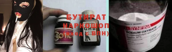 сатива Бородино