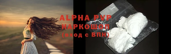 сатива Бородино