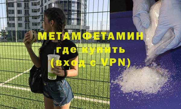 сатива Бородино