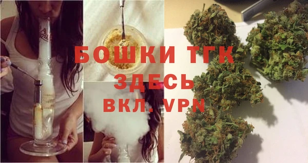 сатива Бородино