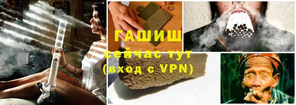 сатива Бородино