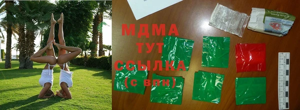 сатива Бородино