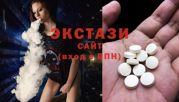 сатива Бородино