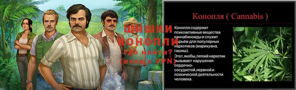 сатива Бородино