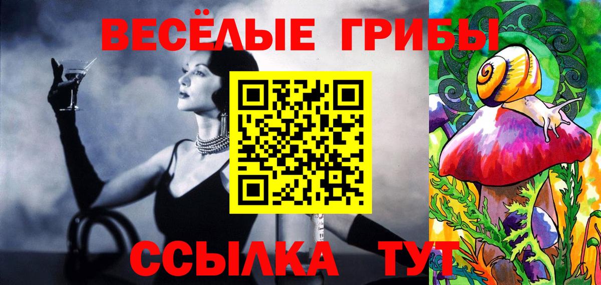 Псилоцибиновые грибы MAGIC MUSHROOMS Выборг