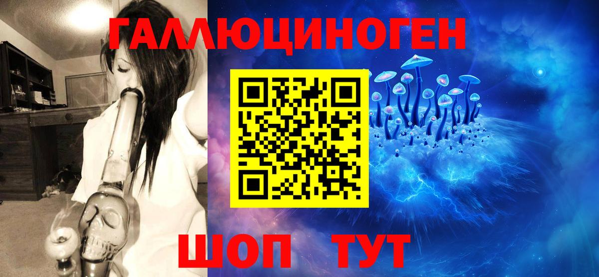 Псилоцибиновые грибы ЛСД  Вход с VPN  купить наркотик  Выборг 