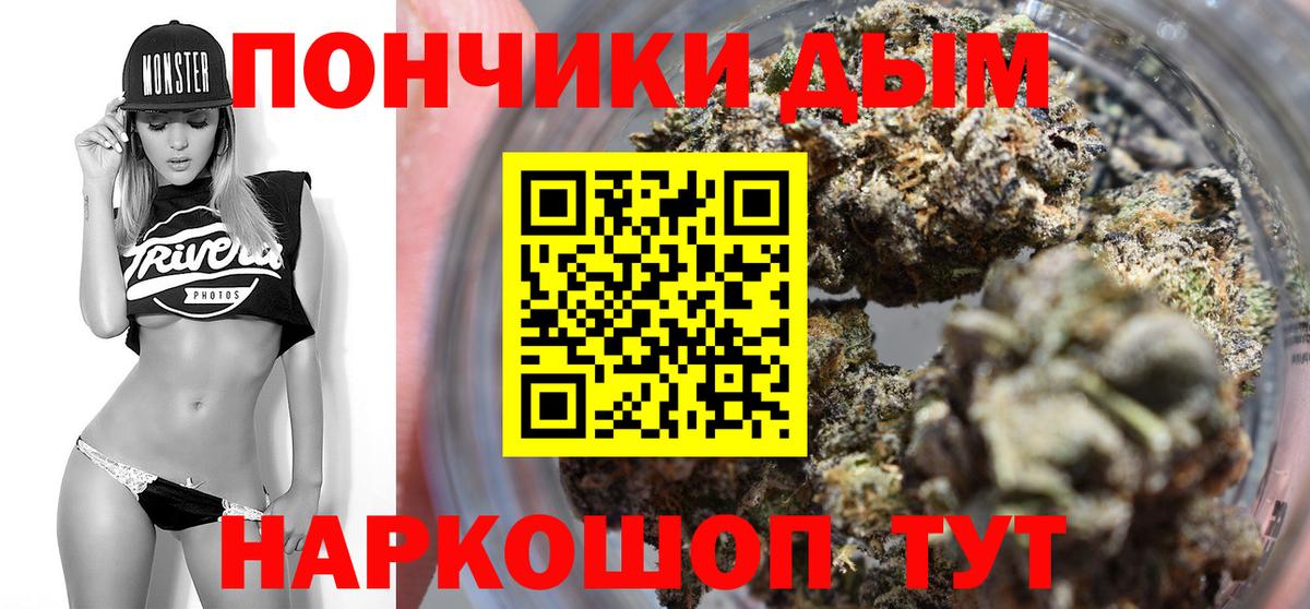 Шишки марихуана конопля Выборг